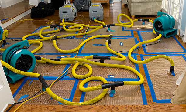 Professional Crawl Space Water Removal technician working in Gower, MO